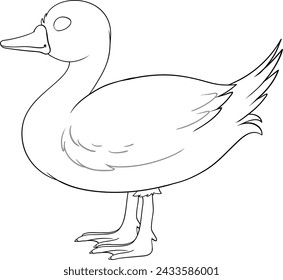 Simple line art of a single duck standing.