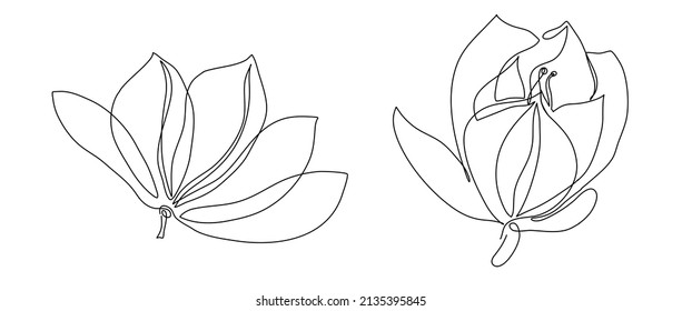 Arte de línea simple flores de primavera magnolia para decoración de logotipo invitación 