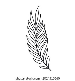 Simple line art tropical leaf. Outline plant drawin tropical leaves.
