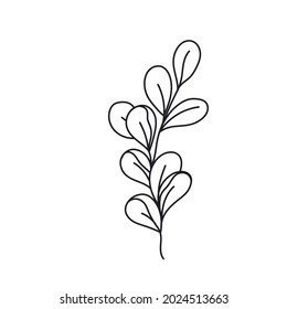 Simple line art tropical leaf. Outline plant drawin tropical leaves.