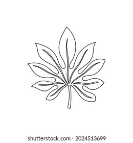 Simple line art tropical leaf. Outline plant drawin tropical leaves.