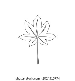 Simple line art tropical leaf. Outline plant drawin tropical leaves.