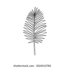 Simple line art tropical leaf. Outline plant drawin tropical leaves.