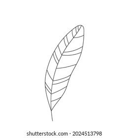 Simple line art tropical leaf. Outline plant drawin tropical leaves.