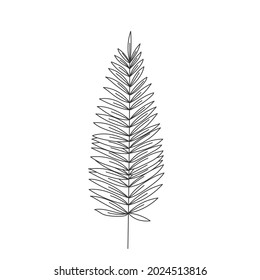 Simple line art tropical leaf. Outline plant drawin tropical leaves.