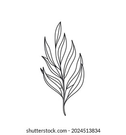 Einfache Linie Kunst tropischen Blatt. Outline-Pflanzenzucht tropische Blätter.