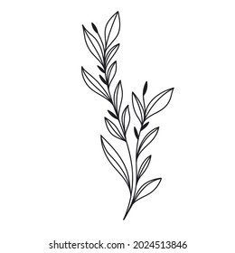 Simple line art tropical leaf. Outline plant drawin tropical leaves.