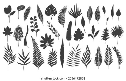Simple line art tropical leaves. Outline forest palm monstera fern hawaiian leaves. Set hand drawn tropical elements vector illustration.