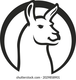 Simple Line Design of Llama (Lama) Head