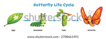 Simple line diagram showing the four main stages of the butterfly life cycle: egg, caterpillar, pupa, and adult butterfly. Vector cartoon illustration
