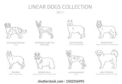 Simple line dogs collection isolated on white. Dog breeds. Flat style clipart set. Vector illustration