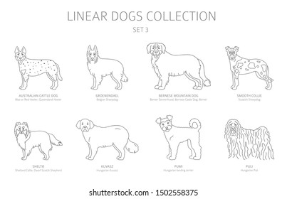 Simple line dogs collection isolated on white. Dog breeds. Flat style clipart set. Vector illustration