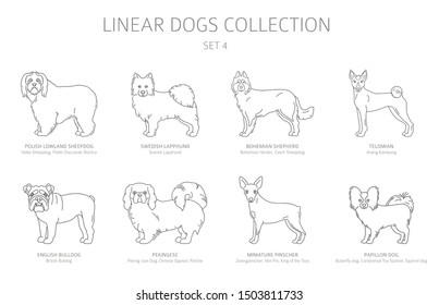 Simple line dogs collection isolated on white. Dog breeds. Flat style clipart set. Vector illustration