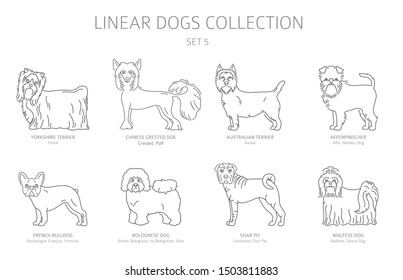 Simple line dogs collection isolated on white. Dog breeds. Flat style clipart set. Vector illustration