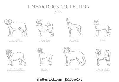 Simple line dogs collection isolated on white. Dog breeds. Flat style clipart set. Vector illustration