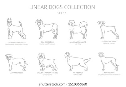 Simple line dogs collection isolated on white. Dog breeds. Flat style clipart set. Vector illustration
