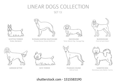 Simple line dogs collection isolated on white. Dog breeds. Flat style clipart set. Vector illustration