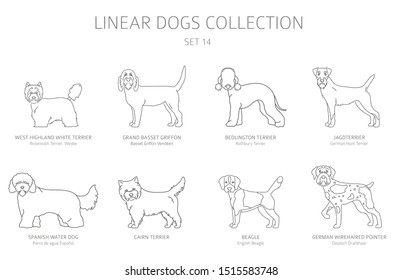 Simple line dogs collection isolated on white. Dog breeds. Flat style clipart set. Vector illustration