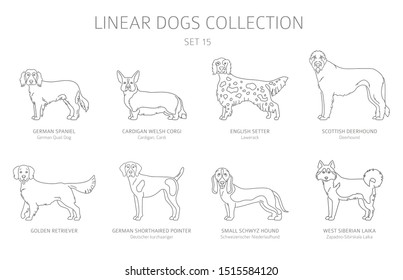Simple line dogs collection isolated on white. Dog breeds. Flat style clipart set. Vector illustration