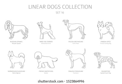 Simple line dogs collection isolated on white. Dog breeds. Flat style clipart set. Vector illustration