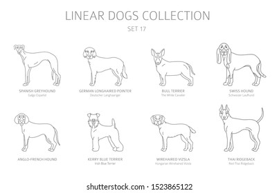 Simple line dogs collection isolated on white. Dog breeds. Flat style clipart set. Vector illustration