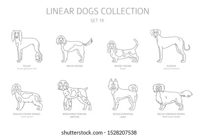 Simple line dogs collection isolated on white. Dog breeds. Flat style clipart set. Vector illustration