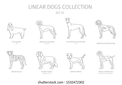 Simple line dogs collection isolated on white. Dog breeds. Flat style clipart set. Vector illustration