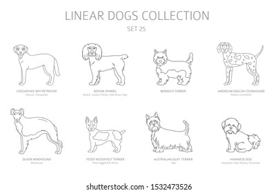 Simple line dogs collection isolated on white. Dog breeds. Flat style clipart set. Vector illustration