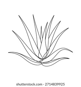 Desenho de linha simples de uma planta de aloé vera com folhas pontiagudas longas