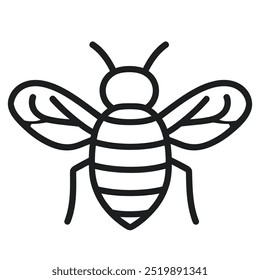 Simple line drawing of a bee, emphasizing its structure and features.