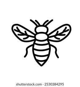 A simple line drawing of a bee, emphasizing its features and structure.