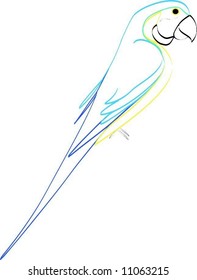 Simple line drawing of blue and gold macaw
