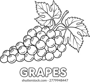 A simple line drawing of a bunch of grapes with leaves, presented in a black and white coloring book style, perfect for kids and adults alike to enjoy.