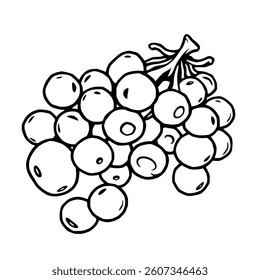 Simple Line Drawing Of A Bunch Of White Grapes