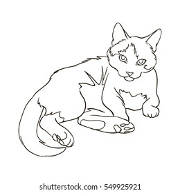 Simple line drawing of a cat.