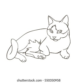 Simple line drawing of a cat.