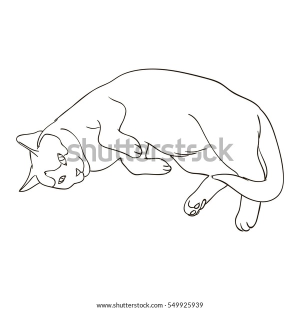 Simple Outline Simple Cat Line Drawing - aivankuinpepe