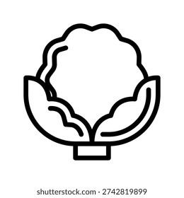 Simple line drawing of a cauliflower head with leaves Vegetables single line icon.