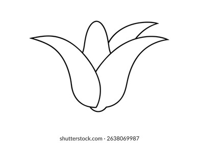 Simple line drawing of a corn plant or similar