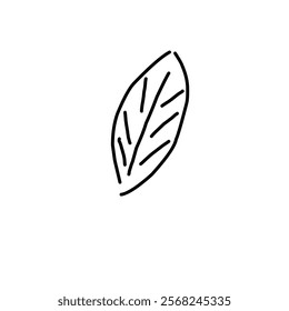 A simple line drawing of an elongated leaf. The leaf has visible veins and a pointed tip. The outline is clean and stylized.