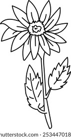 Dibujo de línea simple de una flor con pétalos, un centro y dos hojas en el tallo.