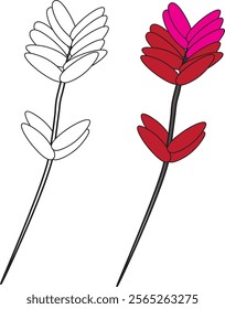 A simple line drawing of a flower with a pink and red colored version