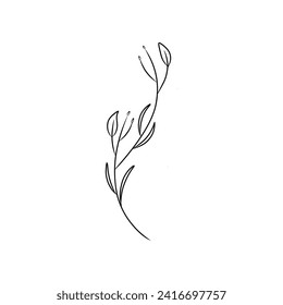 Simple line drawing of a flower suitable for nature themed designs, floral prints, garden illustrations, botanical patterns, and spring or summer themed projects.