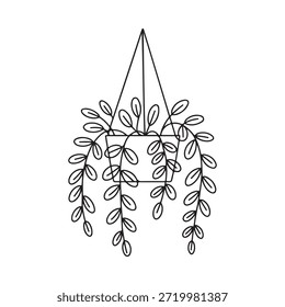 Desenho de linha simples de uma planta suspensa em uma ilustração botânica de vaso