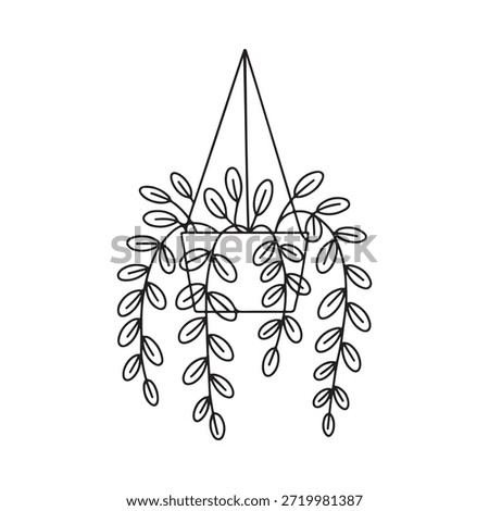 Simple line drawing of a hanging plant in a pot botanical illustration