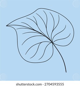 Simple line drawing heart-shaped leaf with prominent veins light blue