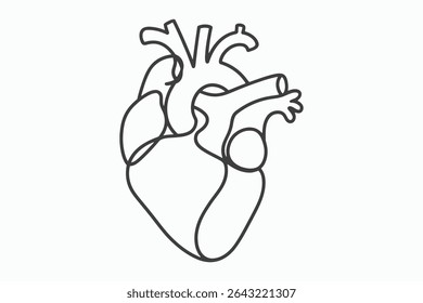 A simple line drawing of a human heart, showcasing its chambers and major vessels. Perfect for medical illustrations, educational materials, or anatomical designs.