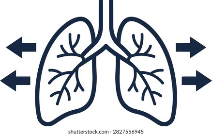 Simple line drawing of human lungs with arrows indicating air flow. Concept of respiration, breathing exercises, and pulmonary function.
