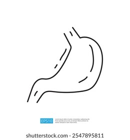 Um simples desenho em linha de um estômago humano, ilustrando sua forma e estrutura para fins educacionais ou médicos.
