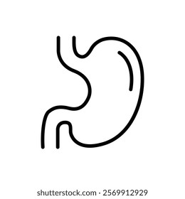 Simple line drawing of a human stomach.  Medical illustration.